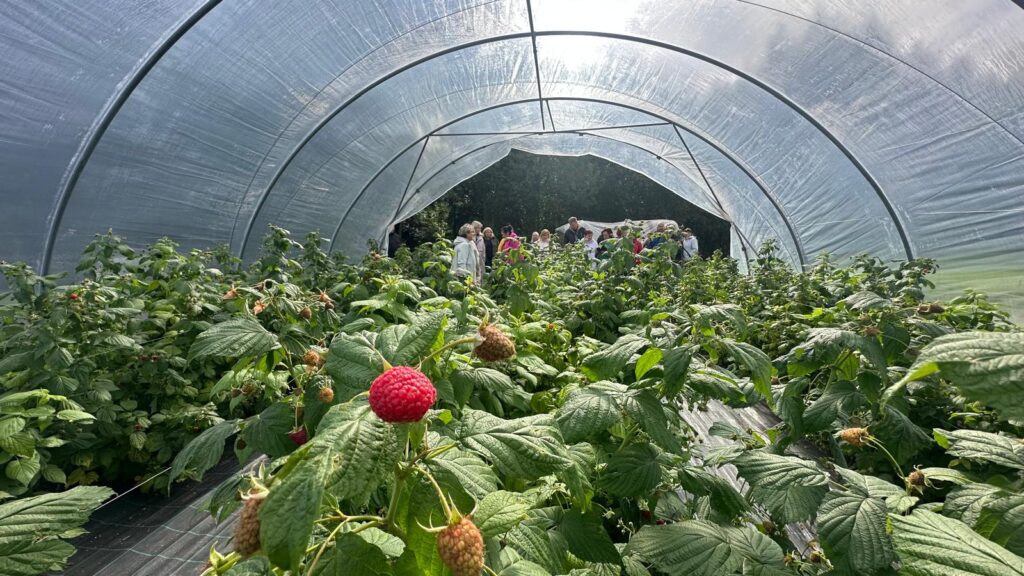 Pieredzes apmaiņas brauciens stiprina augkopības saimniecību konkurētspēju unPieredzes apmaiņas brauciens stiprina augkopības saimniecību konkurētspēju un ilgtspējīgu attīstību