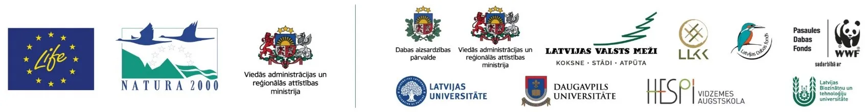 Annas raksta logo