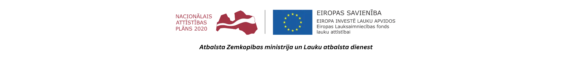 NAP-ES-vecais.periods-CENTRĒTS-mazs-atbalsta-ZM-LAD