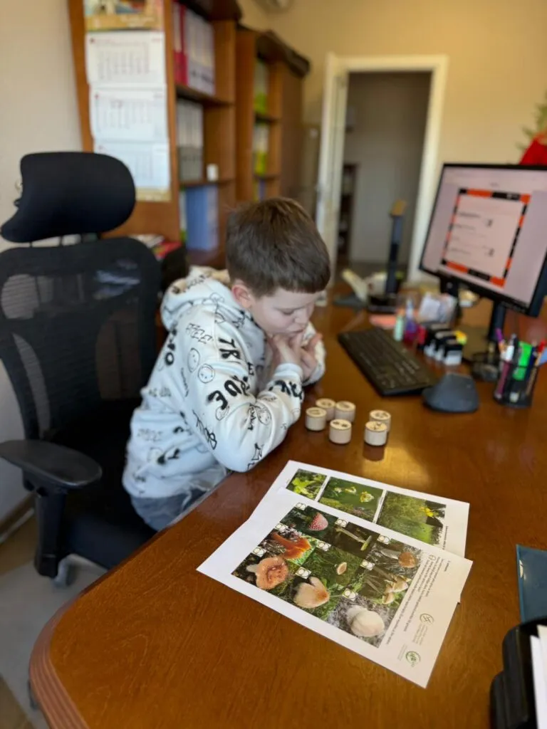 Meži 1
