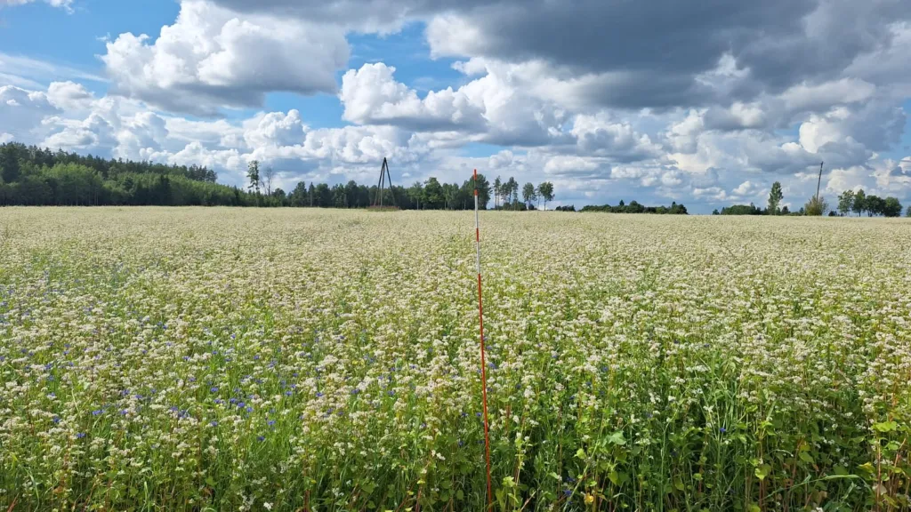 Aizvadīta lauka diena par augsnes veselību un ielabošanas līdzekļu efektivitāti